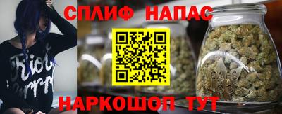 прущие крисы Краснодар