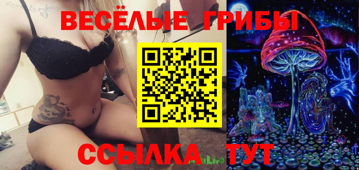 Избербаш  Псилоцибиновые грибы Psilocybe  Псилоцибиновые грибы Psilocybe  даркнет сайт  Вход с VPN 