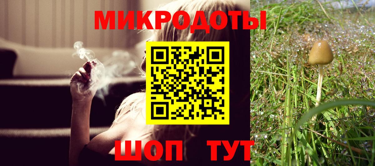 Псилоцибиновые грибы Cubensis Избербаш